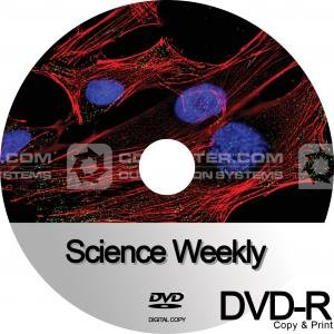 DVD Copy and Colour Print, CD-writer.com